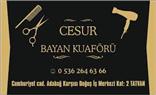 Cesur Bayan Kuaförü  - Bitlis